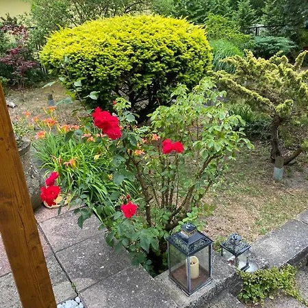 Haus Am Mit Steg Und Boot Holiday home Wandlitz